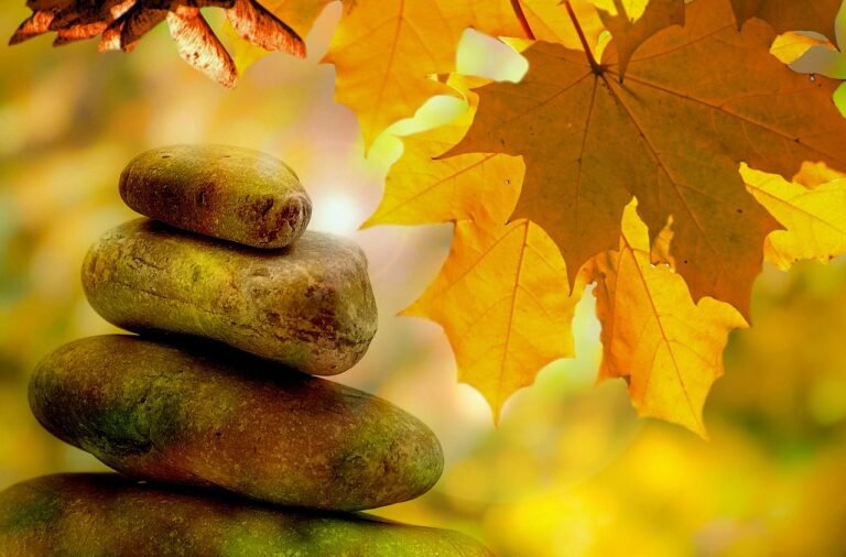 meditation, balance, quiet, fall, tree, trees, leaves, wellness, relaxation, peace, harmony, health, leaf, yellow, seasons, park, stone, zen, nature, jarmoluk, meditation, meditation, meditation, meditation, meditation, balance, wellness, wellness, zen, zen