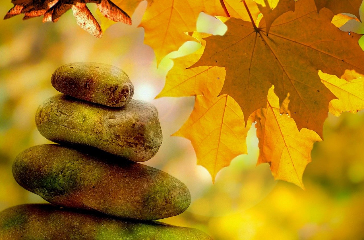 meditation, balance, quiet, fall, tree, trees, leaves, wellness, relaxation, peace, harmony, health, leaf, yellow, seasons, park, stone, zen, nature, jarmoluk, meditation, meditation, meditation, meditation, meditation, balance, wellness, wellness, zen, zen