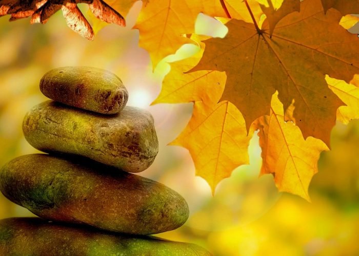meditation, balance, quiet, fall, tree, trees, leaves, wellness, relaxation, peace, harmony, health, leaf, yellow, seasons, park, stone, zen, nature, jarmoluk, meditation, meditation, meditation, meditation, meditation, balance, wellness, wellness, zen, zen